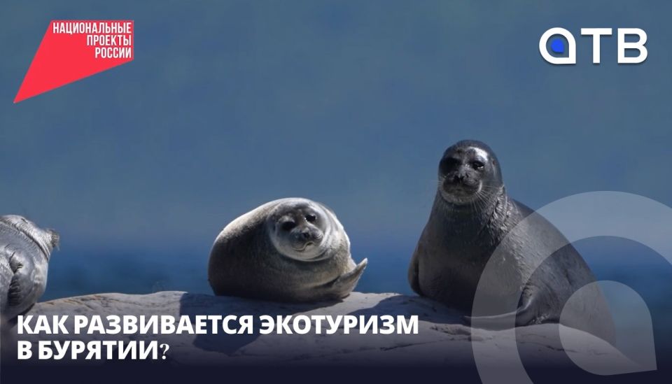 �������� � ��������. ��� ����������� ��������� � �������?