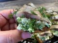Вкусная закуска из селедки: советский рецепт, который вновь в моде