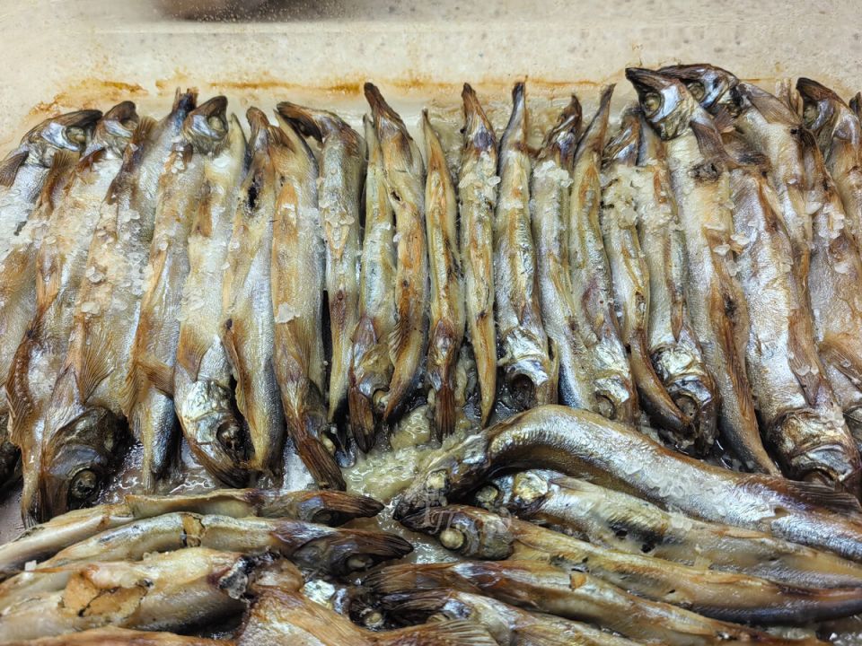 ���������� �� �������� �����: ����� ����� � ����