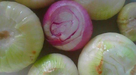 ������������� ������ ������ �� ������� �� ����