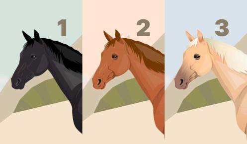 Символ лошадей: выберите свою и узнайте о своей сути