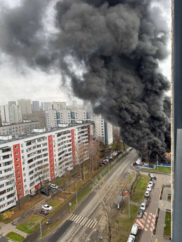 ����� � ���������������� ������: ������������ ��������� ��������� �� ����� �����