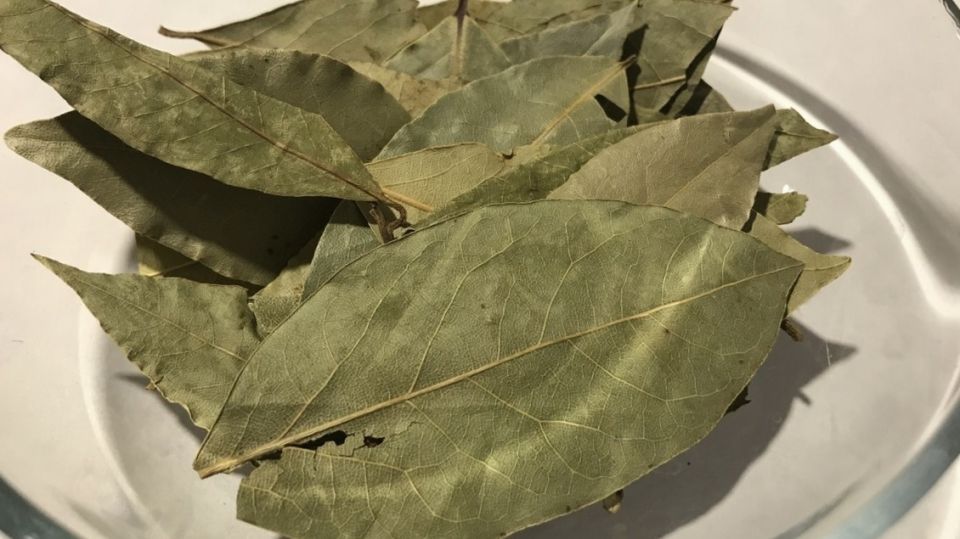 ��� �������� �������� ��������: ������� ������ ��� �������� � ��������