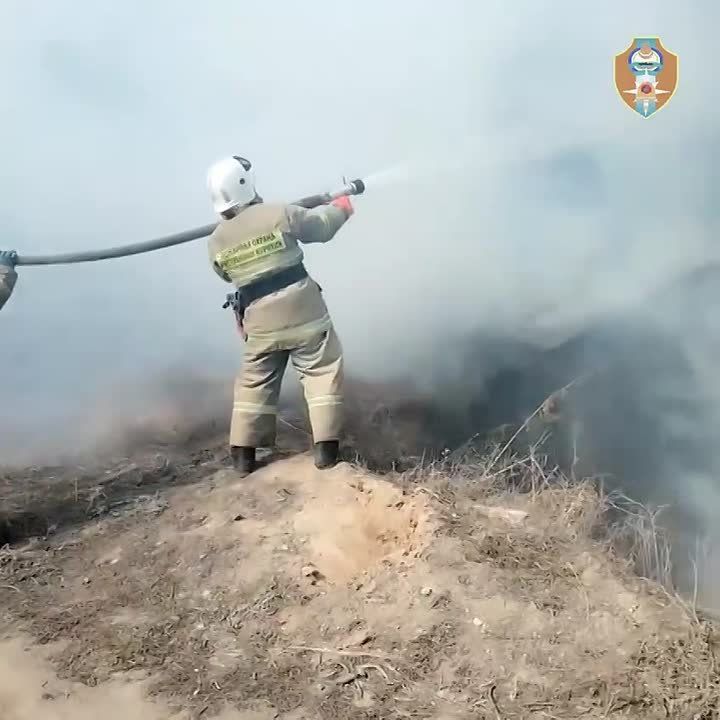 � ������������ ������ ��-�� ��������� ��������� ��������������� ��������� �����