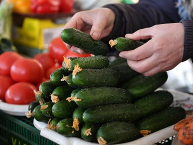 Когда овощи подешевеют: мнение эксперта