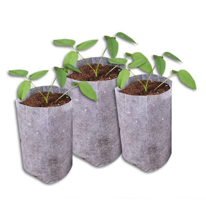 �������������� ������ ��� �������: ���� � ����������