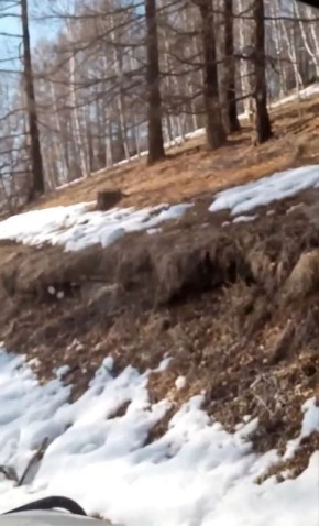 ������ �����?. �� ���� � ������� ���