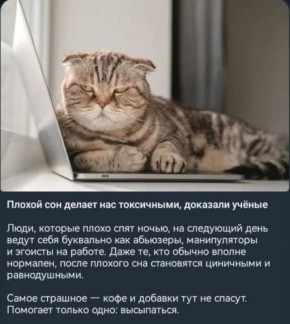 Доброе утро! Как прошёл ваш понедельник?)