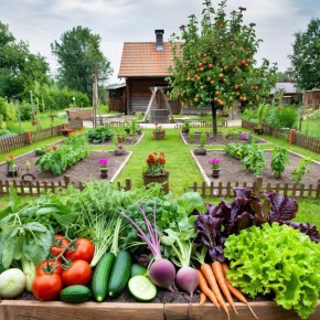 ��� ���������� ������ � �������� ���� ��� �������: 10 ���������� ���� ��� ������ �������