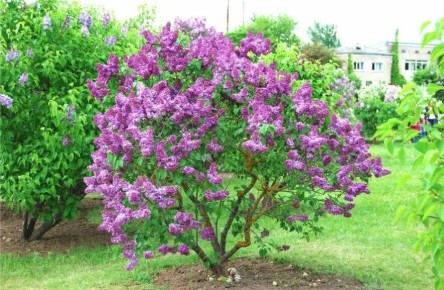 ������: ������� ����������� � �����, ������� �� �� �����