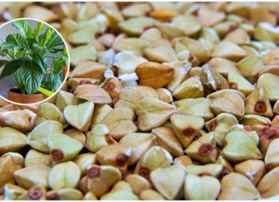 ��� ������ ������ ������������ � ������ ��������� ��� ����� ��������