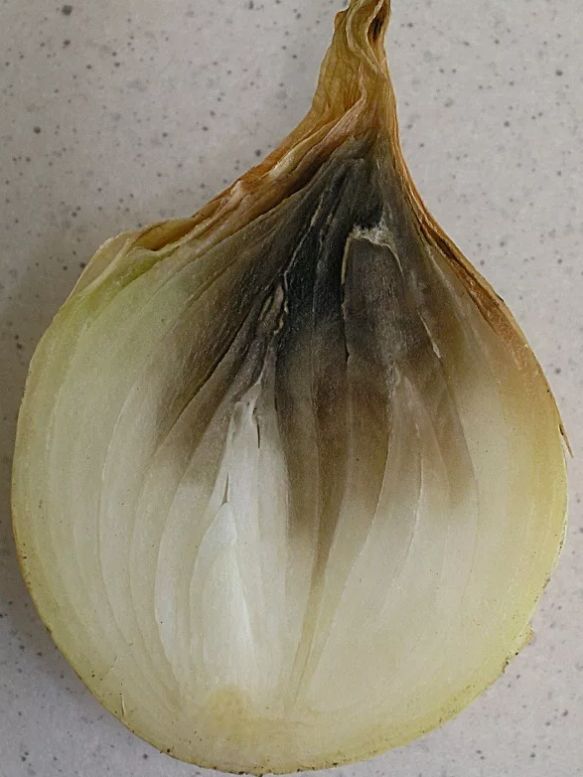 ������ ��� ����� ������� � ��� ��������� ������