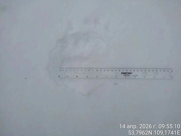 ������� ����� � ����������� �������� � �������