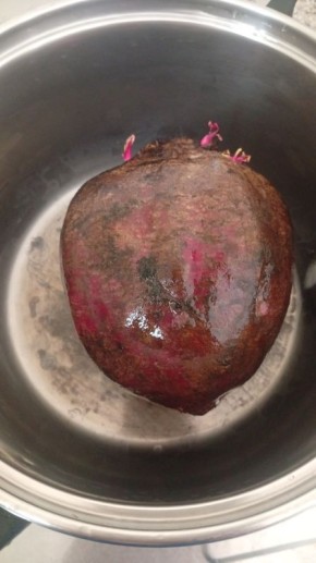 ���������� �����������: ��� ����������� �� ��������� ������������