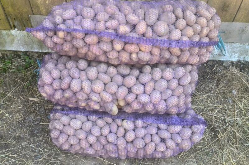 ��� �������� ��������� �� ������������ ��� �������: ������ � ��������