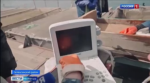 � ������� ���������� ���������� �o�y����� �ap�-p���