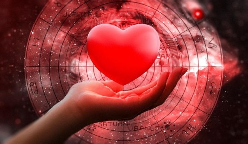 ������������ ����� �����: ��� ����� ������� �����