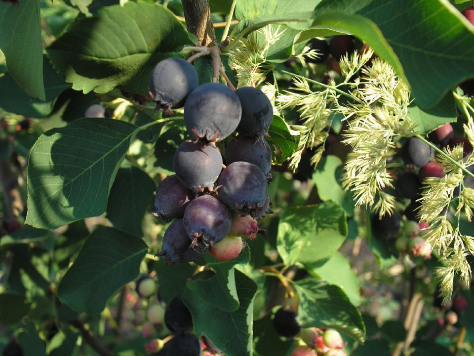 ����: ��� ���� ����������� ��������� ����� ����������� ��� ���