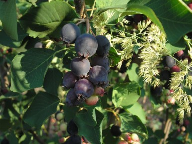 ����: ��� ���� ����������� ��������� ����� ����������� ��� ���