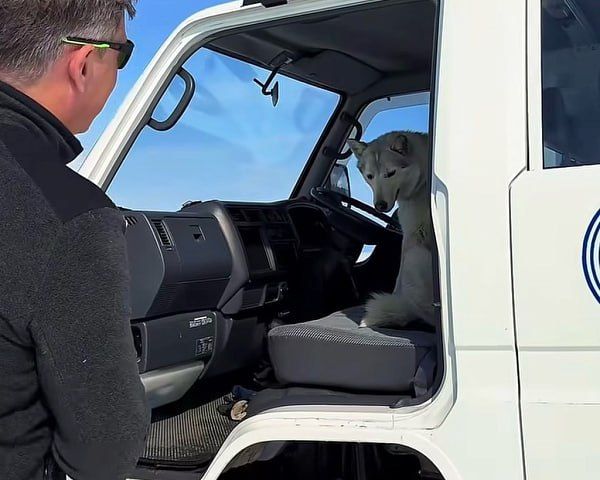 ������ ������� ������ �������� �����, ��������� �� 40 �� �� ���� �������