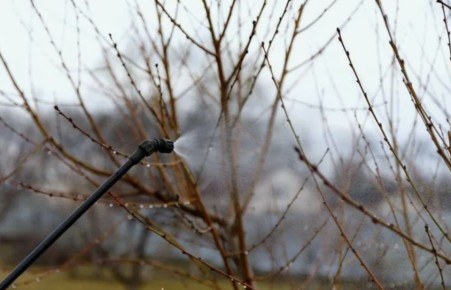 ��� � �������: �������� ������ �� ��������� �� ���������� � ��������