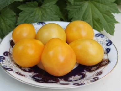 ����� ������ ������: ����� �������� �� ����� �������