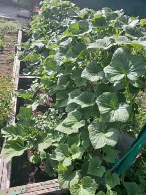 ������ ������� ������ � ��� ������������� �� �������