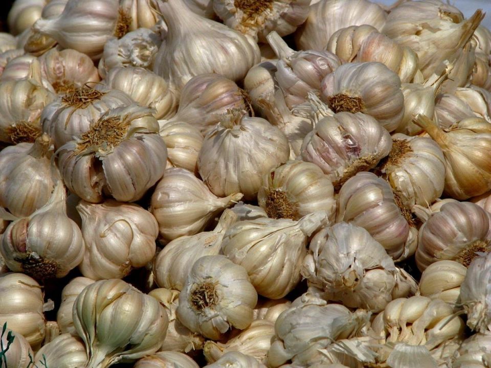 ������� ������������ ���������� ������ ��� ������� ������ �������