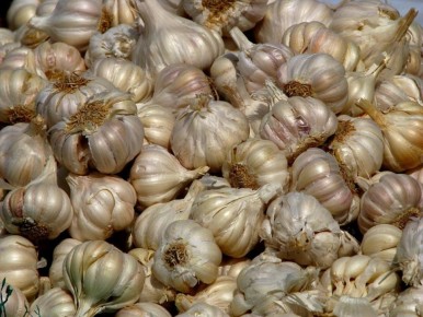 ������� ������������ ���������� ������ ��� ������� ������ �������