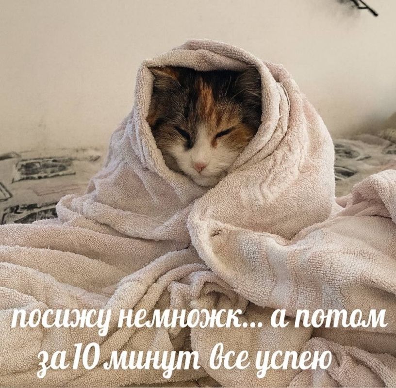 ������ ����! ���� ���������: ����������� ��� ���� ���� � �� ��������)