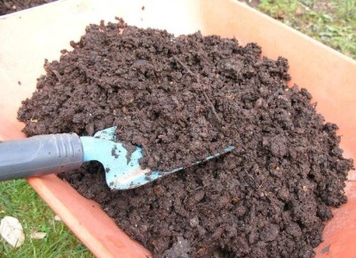 ��� �������� ����� �� ������ �������: ������ �������