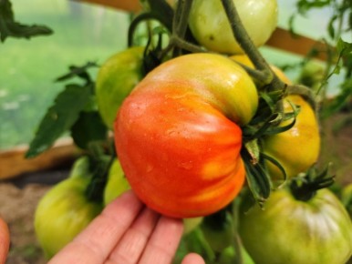 ��� �������� ���������� �������: ������ ������ ��� ��������