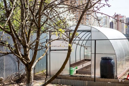 ��� ������������ ������� ����� ����: ���������������� ���� � ������