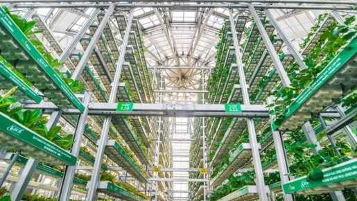 ������������ �����: ����� ������� �������������� ��������������� �����������