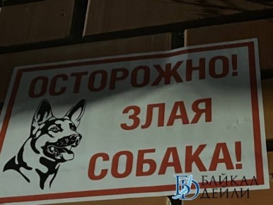 � ����-��� ������������ �� ������ ������� �������� 100 �����