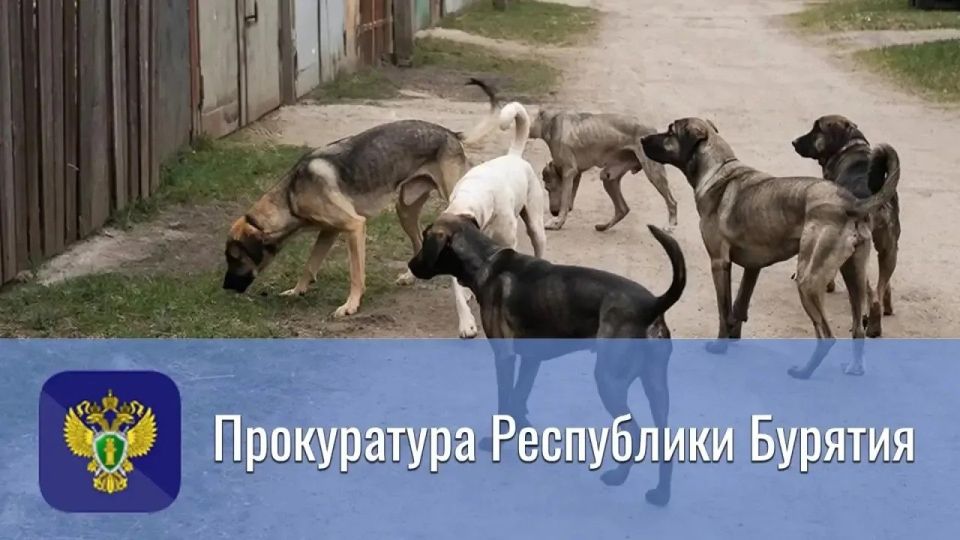 ������������ ���������� ������ �. ����-��� ��������� �������� �� ����� ���������� ����� �������� ������������������� � ���������� ��������� ������������ ������