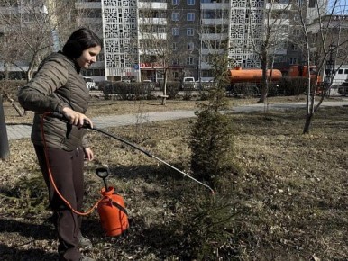 ��� ����-��� ���������, ��� �������� �����