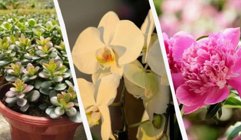 ��������, ������� ������� ��� ��� � ��������� �����