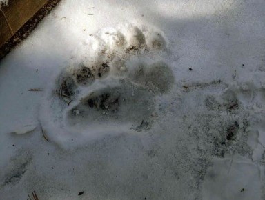 � ����������� ������� ������� ���������� ������ ���������