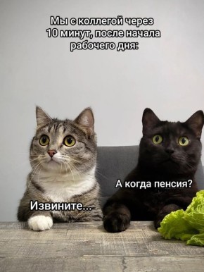 ������ �������� ����!). �� ��������� ���������� ��������������, 21 ������ �� ���������� ��������� ���������� ����������, ������� ������ ��������� ����