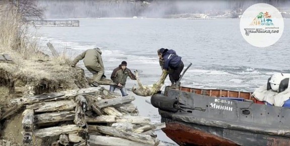 �� ������� ������ ���������� ������, ����������� � ������� ����