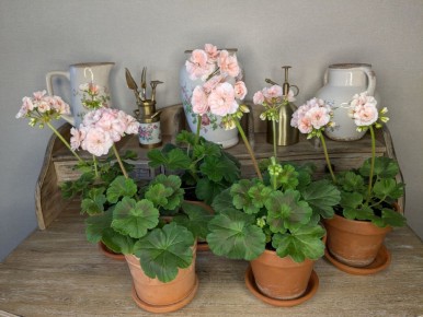 ��� ��������� ������� ����������: �� ����� �� ����������