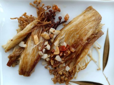 ������ ����� �� ��������� �� ������: ������� ������ ����������� ��������� ����