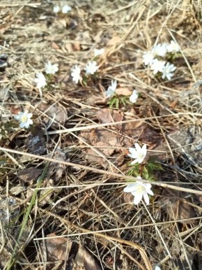 � ����������� ����������� ����������� ������ �������� ������