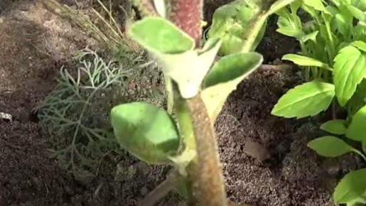 ��� ��������� �� 15 �� ���������� � �����: ������� ��������� ������������ � ������ ��������