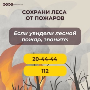 � ����-��� ��������� ������ ��������������� �����