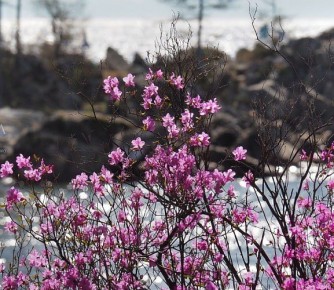 ������� ����� � ��� ��������, ��� ����� �������� �������������