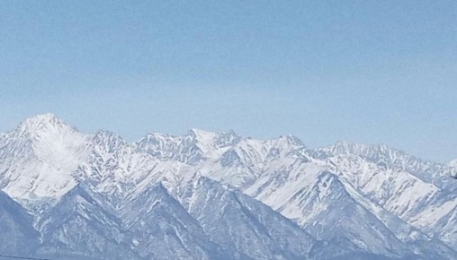 � ������ �� ���� ��������, �������� ��� ������, ���� ���� �������, 1984 ���� ��������