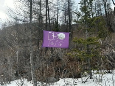 ������������ ������������� ������ ��������, �������� ��� ������ �� �������� ����� ���� �����������