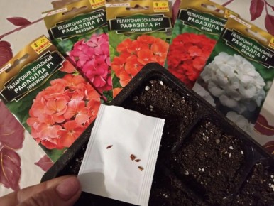 ��� ����� ���������� �������� �� ������� � �������� ������� �������